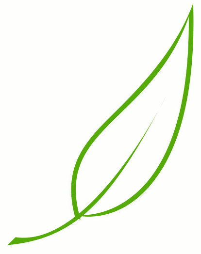 leaf